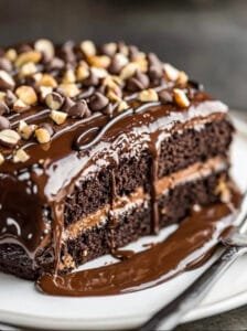 Texas Turtle Sheet Cake
