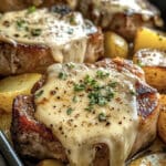 French Onion Beef and Noodles