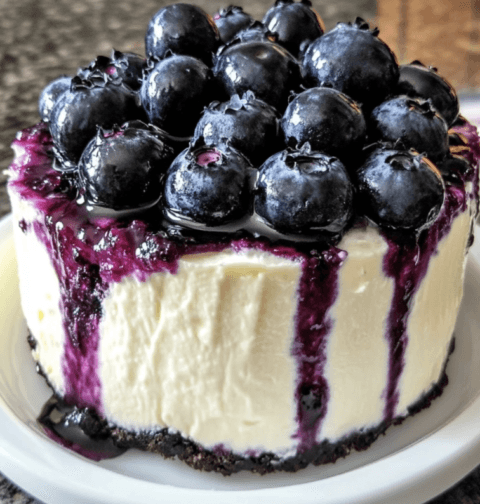 Savor the Flavor: Fresh Blueberry Cheesecake Recipe