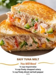 Easy Tuna Melt