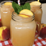 Slow Cooker Pulled Pork with BBO Sauce