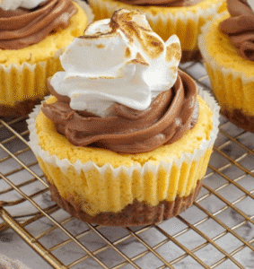 Mini Pumpkin S’mores Cheesecakes