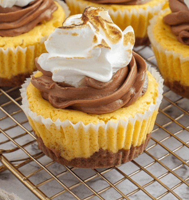 Mini Pumpkin S’mores Cheesecakes
