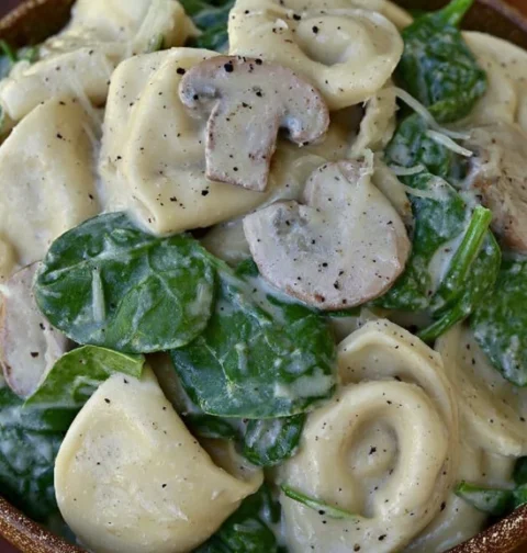 Best Creamy Mushroom Spinach Pasta Recipe Easy Vegetarian Spinach Mushroom Pasta Creamy Pasta With Spinach And Mushrooms D...