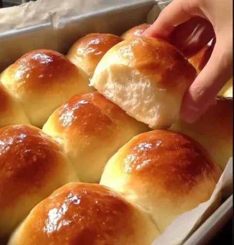 Best Homemade Dinner Rolls Recipe Easy Soft Dinner Rolls From Scratch Buttery Yeast Rolls For Dinner How To Make Soft Roll...
