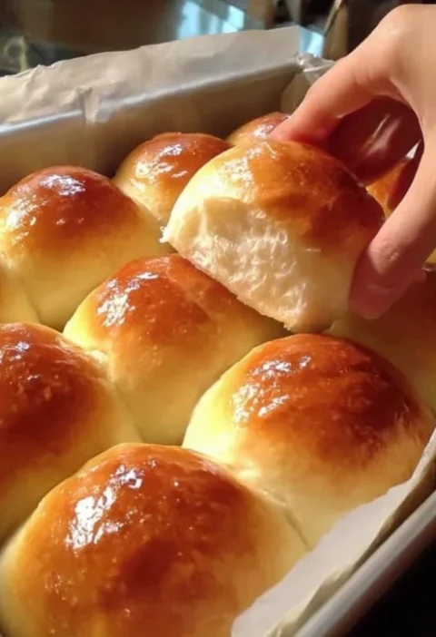 Best Homemade Dinner Rolls Recipe Easy Soft Dinner Rolls From Scratch Buttery Yeast Rolls For Dinner How To Make Soft Roll...