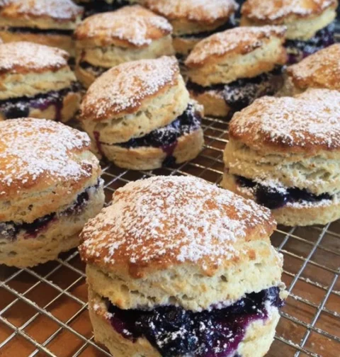 Blueberry Biscuits Recipe Homemade Best Blueberry Biscuits Online Buy Frozen Blueberry Biscuits Organic Blueberry Biscuits...