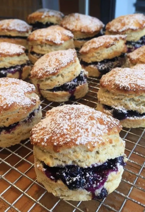 Blueberry Biscuits Recipe Homemade Best Blueberry Biscuits Online Buy Frozen Blueberry Biscuits Organic Blueberry Biscuits...