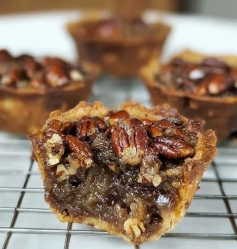 German Chocolate Pecan Pie Bites Recipe Easy German Chocolate Pecan Pie Bites Best German Chocolate Pecan Pie Homemade Ger...