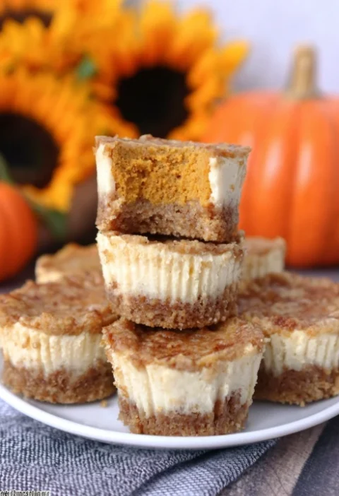 Mini Pumpkin Cheesecake Recipe Easy Mini Pumpkin Cheesecakes Gluten-free Mini Pumpkin Cheesecake Vegan Mini Pumpkin Cheese...