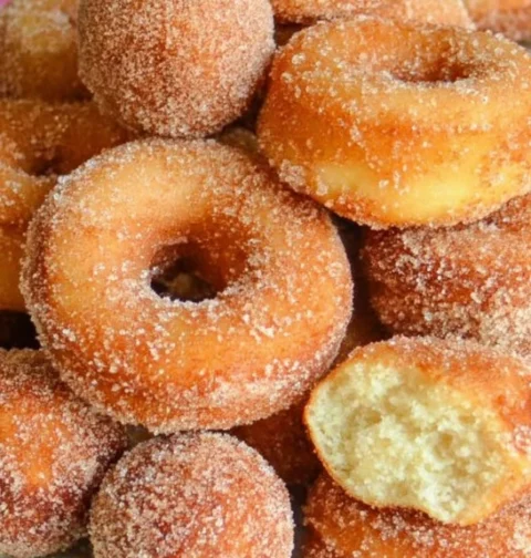 Easy Canned Biscuit Sugar Donuts Recipe Homemade Canned Biscuit Donuts Best Sugar For Canned Biscuit Donuts Air Fryer Cann...