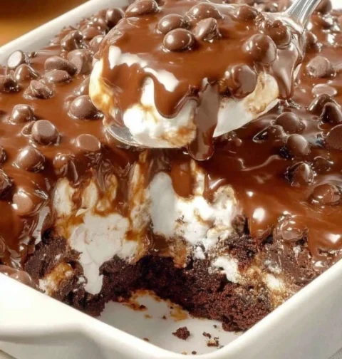 Easy Mississippi Mud Cake Recipe Gluten-free Mississippi Mud Cake Recipe Best Chocolate Mississippi Mud Cake Homemade Miss...