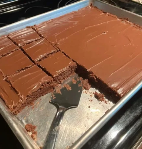 Homemade Lunch Lady Brownies Recipe Grandma's Fudge-top Brownies Guide How To Make School Cafeteria Fudge Brownies Best Fu...