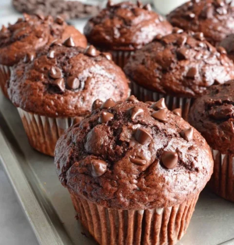 Sour Cream Double Chocolate Muffins Recipe Best Sour Cream Chocolate Muffins Buy Sour Cream Double Chocolate Muffins Onlin...