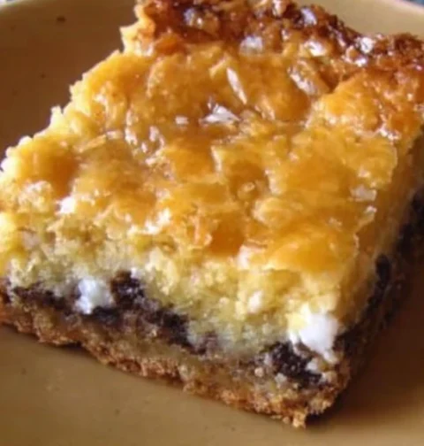 Best Chocochip Gooey Treats Recipes Homemade Gooey Chocochip Bars Where To Buy Chocochip Gooey Treats Gluten-free Chocochi...