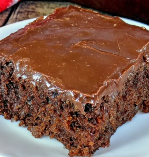 Double Chocolate Coca Cola Cake