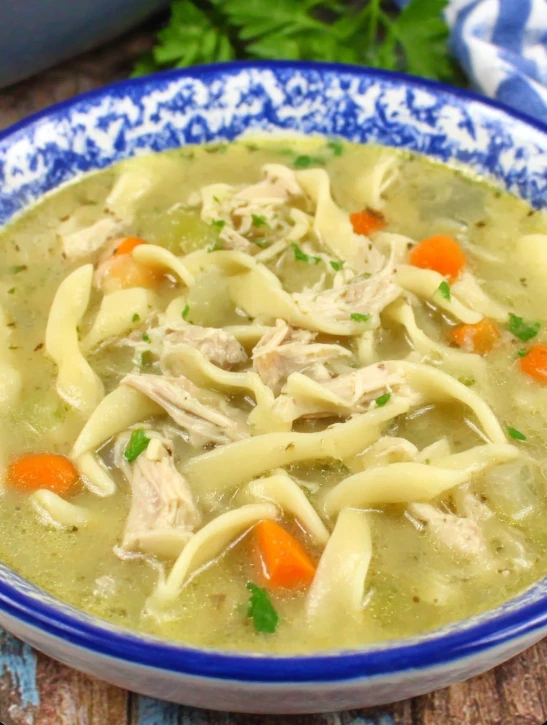 happy tummy chicken & noodles