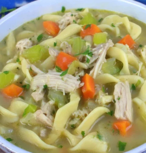 Happy Tummy Chicken Noodles