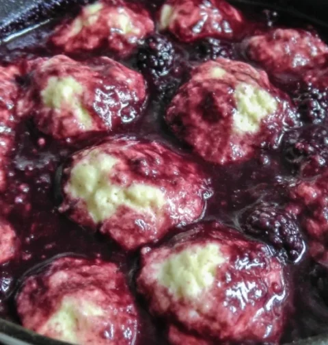 Blackberry Dumplings