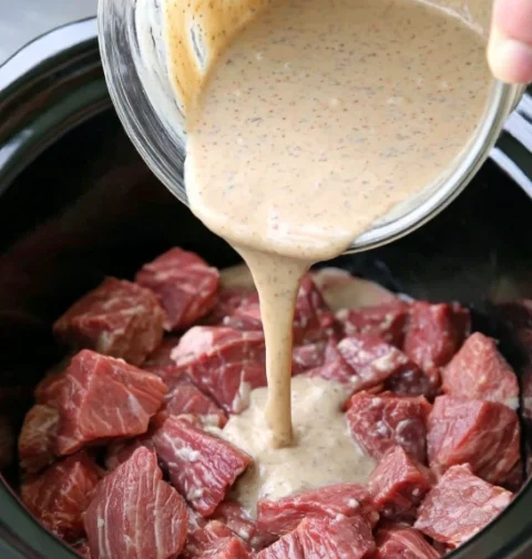 Slow Cooker Familystyle Beef Stroganoff