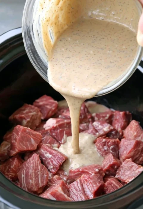 Slow Cooker Familystyle Beef Stroganoff