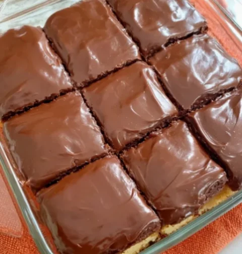 Easy No-Bake Chocolate Biscuit Dessert