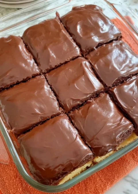 Easy No-Bake Chocolate Biscuit Dessert