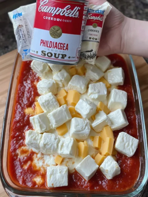 Mom’s Tomato Soup Dip