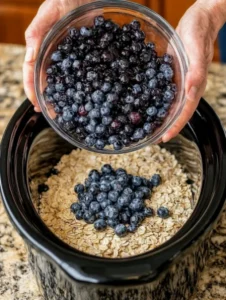 Slow Cooker Amish Blueberry Oatmeal