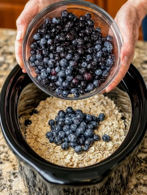 Slow Cooker Amish Blueberry Oatmeal