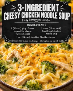 3-INGREDIENT CHEESY CHICKEN NOODLE SOUP